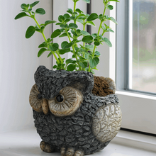 Load image into Gallery viewer, Decorative owl-shaped planter with textured bark finish holding green leafy plant on windowsill