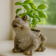 Load image into Gallery viewer, Stone-textured ceramic frog planter with basil plant growing from back opening