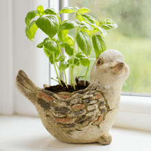 Load image into Gallery viewer, Decorative bird-shaped ceramic planter with green basil seedlings growing inside