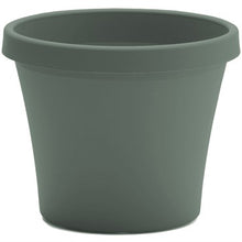 Load image into Gallery viewer, Bloem Terra Planter in sage green, classic tapered design with rolled rim
