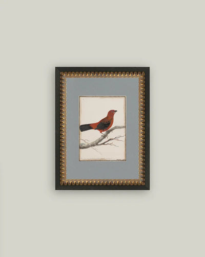 Red Bird 1763