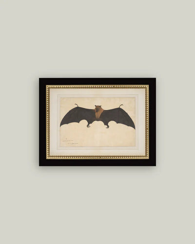 Spooky Bat