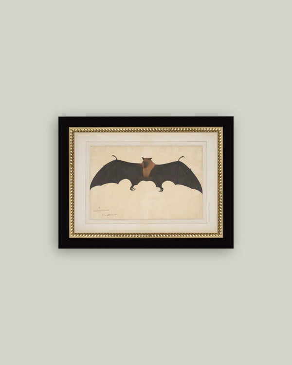Spooky Bat