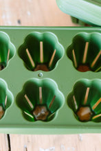 Load image into Gallery viewer, Green seed starter tray with shell-shaped compartments containing planted seeds and wooden plant markers