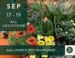 2025 Fall Porch Pot Workshop