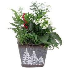 Load image into Gallery viewer, Holiday Gift Planter