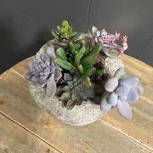 Load image into Gallery viewer, Succulent SM RD Pot