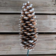 Load image into Gallery viewer, Pick Holiday Pinecone