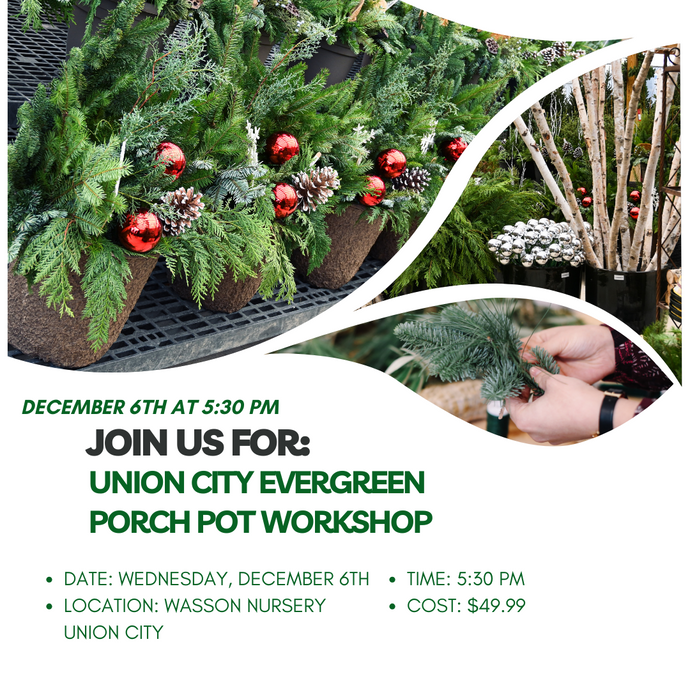 Union City Evergreen Porch Pot Workshop