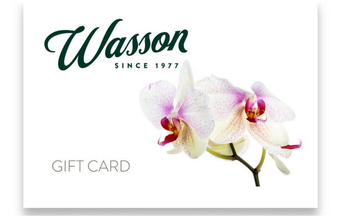 Wasson Nursery Gift Cards