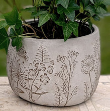 Load image into Gallery viewer, Gray concrete planter with embossed wildflower designs containing green ivy plant