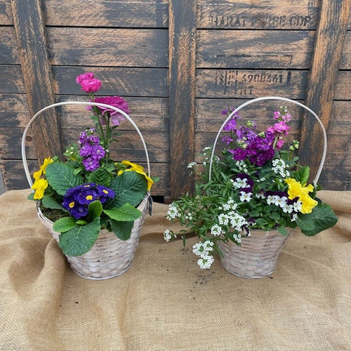 Wasson Seasonal Spring Basket