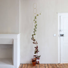Load image into Gallery viewer, Climbing Plant Support