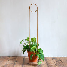 Load image into Gallery viewer, Golden metal plant stake with circular top supporting climbing plant in terracotta pot