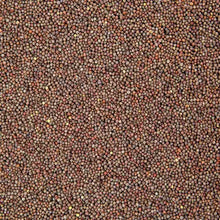 Load image into Gallery viewer, Small round brown organic broccoli sprouting seeds scattered densely across surface