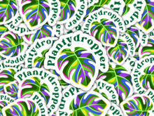 Load image into Gallery viewer, Colorful tropical leaf stickers with Plantydropper branding scattered in repeating pattern