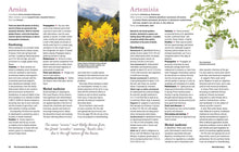 Load image into Gallery viewer, Open herb reference book showing detailed pages about Arnica and Artemisia plants with botanical information