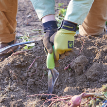 Load image into Gallery viewer, Person using ergonomic hand weeder tool in garden soil while wearing work gloves