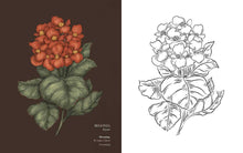 Load image into Gallery viewer, Floriography Coloring Book by Jessica Roux: Paperback; 96 pages / English