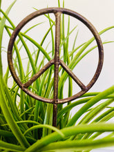 Load image into Gallery viewer, Peace Sign Symbol - Metal Garden or Plant Stakes for Pots!: 12"