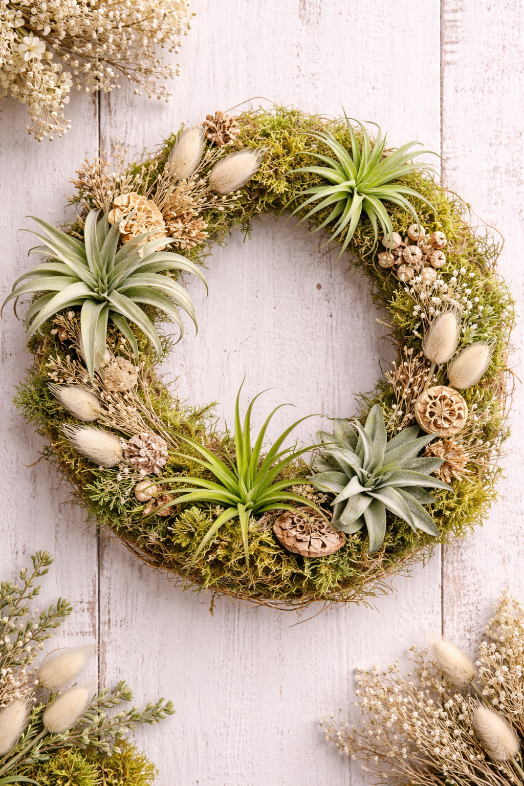 2026 Air Plant Wreath Workshop