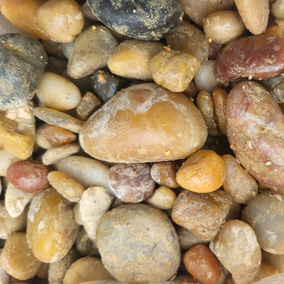 Bagged Stone Alabama Sunset - Vibrant River Rocks – Wasson Nursery