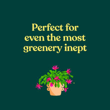Load image into Gallery viewer, Green Dumb Guide to Houseplants
