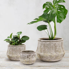 Load image into Gallery viewer, Large Graveled Ceramic Pot
