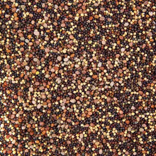 Load image into Gallery viewer, Mixed organic broccoli sprouting seeds in various colors including brown, black, and tan varieties