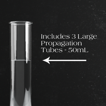 Load image into Gallery viewer, Clear glass test tube propagation vessel with white text on dark background