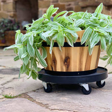 Load image into Gallery viewer, 16&quot; Heavy Duty Plant Dolly