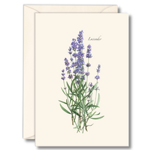 Load image into Gallery viewer, Botanical illustration greeting cards featuring purple lavender flowers on cream background with envelope