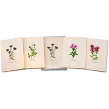 Load image into Gallery viewer, Five botanical greeting cards featuring pressed wildflowers including New England Aster, Wild Columbine, Wild Geranium, an...