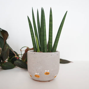 Bell Planter Painted - 3" | Bees, Arch, Daisy, Chilis: Green with Daisies