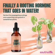 Load image into Gallery viewer, Root Drops liquid rooting hormone bottle with plant cuttings rooting in glass containers