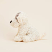 Load image into Gallery viewer, Cream colored plush puppy toy with curly fur and brown ears sitting upright