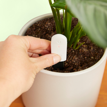 Load image into Gallery viewer, Hand holding white soil moisture meter inserted into potted plant with dark soil