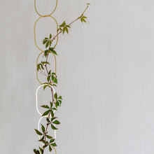 Load image into Gallery viewer, Climbing Plant Support