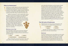Load image into Gallery viewer, Open pages from Little Book of Mushrooms showing educational content about fungi lifecycle and characteristics