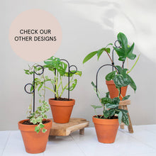 Load image into Gallery viewer, Mini Plant Stake Hoop - Black