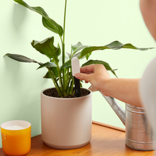 Load image into Gallery viewer, Hand inserting white soil moisture meter probe into potted plant with green leaves