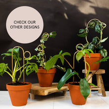 Load image into Gallery viewer, Mini Plant Stake Perch - Gold