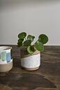 Load image into Gallery viewer, White ceramic cafe mug planter with small green succulent plant on wooden surface