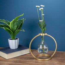 Load image into Gallery viewer, Capstone Floating Glass Bud Vase Brass Finish Metal