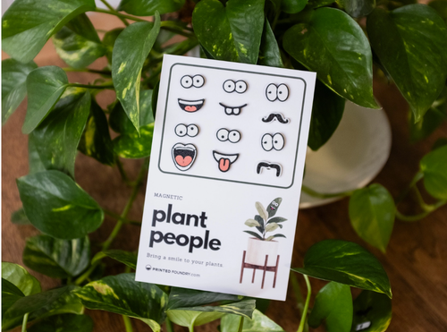 Magnetic Plant Faces | Magnet Charms for Plants