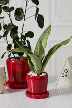 Load image into Gallery viewer, Glossy red ceramic Cinnamon Twist Pot with rope-style saucer holding a snake plant