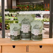 Load image into Gallery viewer, Three bags of Lost in the Forrest Chunky Perlite lightweight drainage additive displayed on wooden shelf