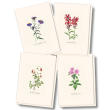 Load image into Gallery viewer, Four botanical greeting cards featuring wildflower illustrations: New England Aster, Cardinal Flower, Wild Columbine, and ...