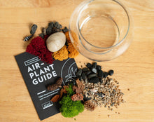 Load image into Gallery viewer, New* Airplant Terrarium Kit : Globe