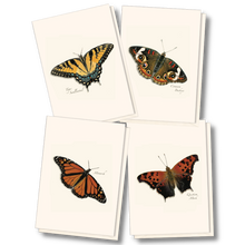 Load image into Gallery viewer, Butterfly Assortment